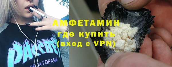 молекула духа Осташков
