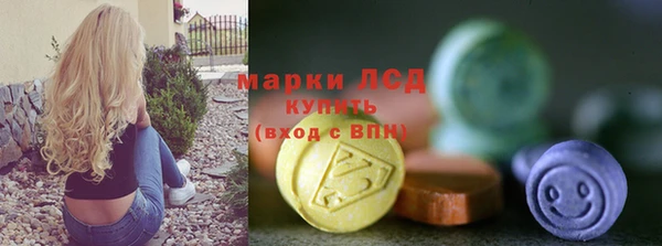 молекула духа Осташков