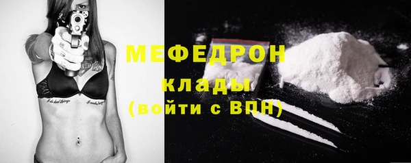 молекула духа Осташков