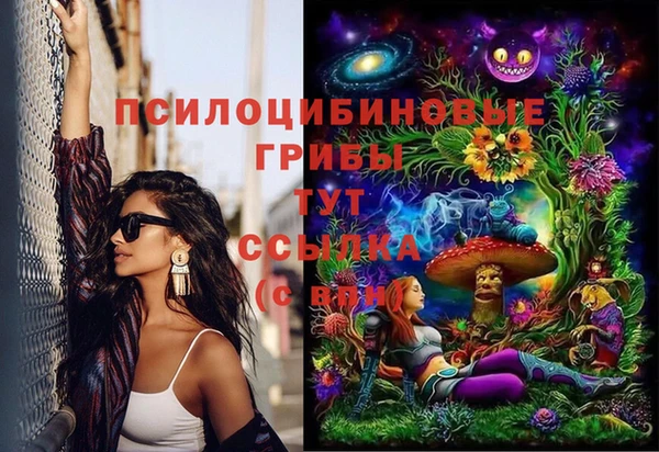 молекула духа Осташков