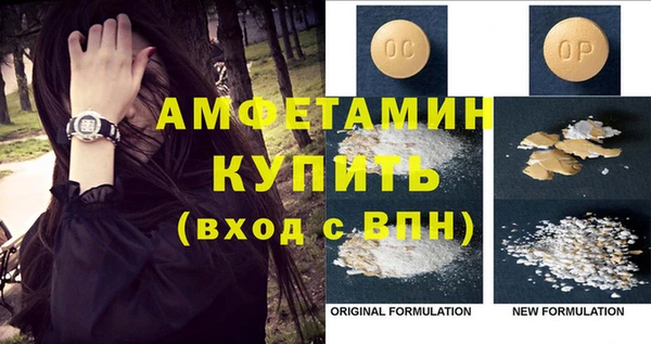 молекула духа Осташков
