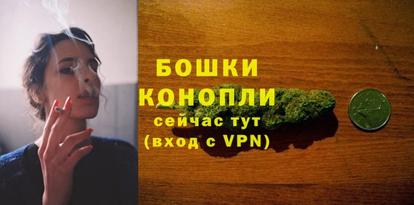 молекула духа Осташков