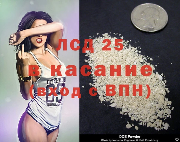 молекула духа Осташков