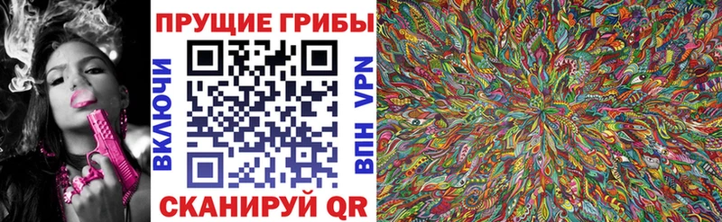 Купить  Кирово-Чепецк  Галлюциногенные грибы Psilocybe 